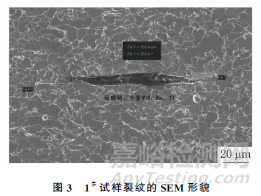 硫化锰混合夹杂物对管线钢氢致开裂的影响