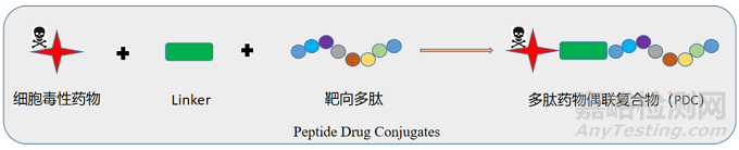 多肽偶联药物（PDC）研究进展