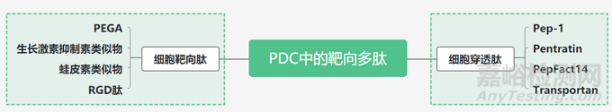 多肽偶联药物（PDC）研究进展