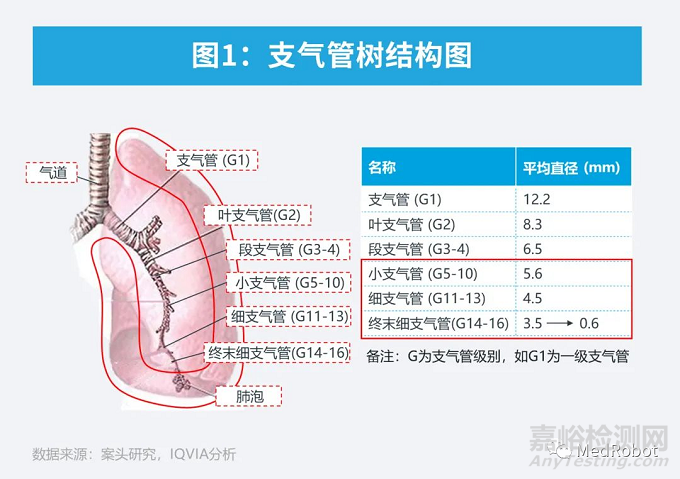 直觉外科发布经自然腔道手术机器人Ion