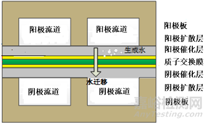 燃料电池极板S型流道结构的仿真优化