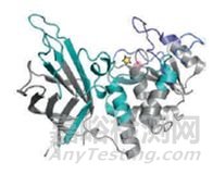 HDX在生物药高级结构分析中的应用