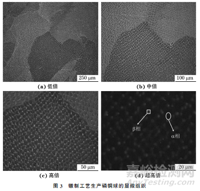 轧制与镦制工艺生产磷铜球的显微组织和硬度对比