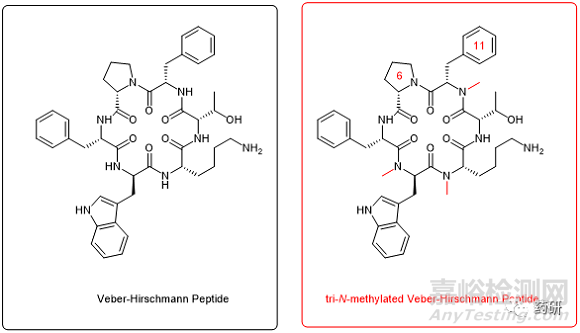 N-甲基化在多肽药物分子设计与口服制剂开发中的作用