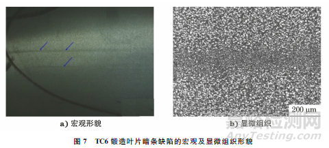 钛合金在金相检验中的常见缺陷