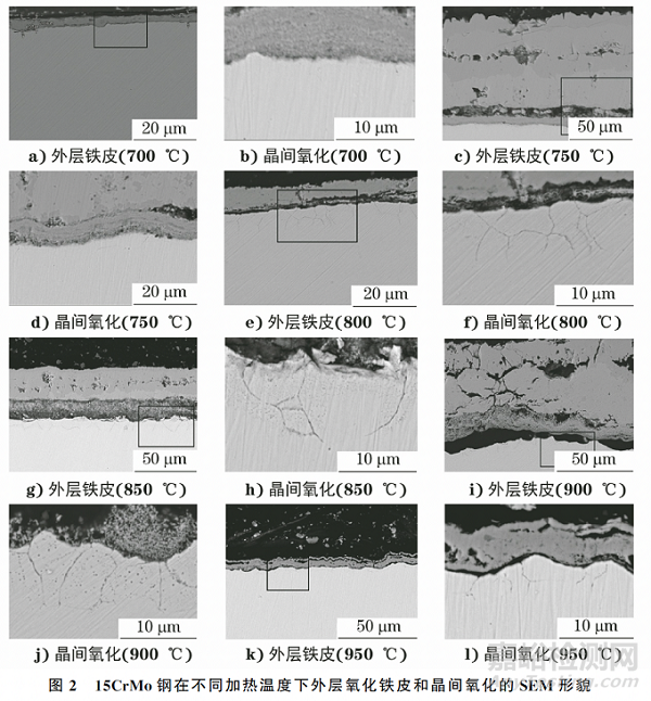 加热温度对15CrMo钢晶间氧化行为的影响