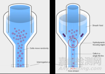 流式细胞仪检测原理、组成结构