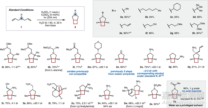 JACS：绿色高效的环丁烷骨架合成新方法