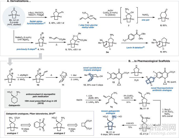 JACS：绿色高效的环丁烷骨架合成新方法