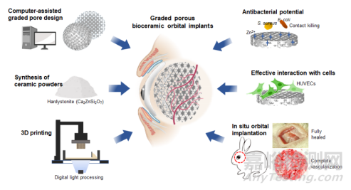 分级微孔结构精细调控的抗感染型陶瓷义眼座设计及高效血管化整合研究