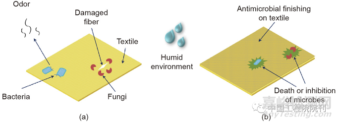 纺织品等离子体辅助抗菌整理技术