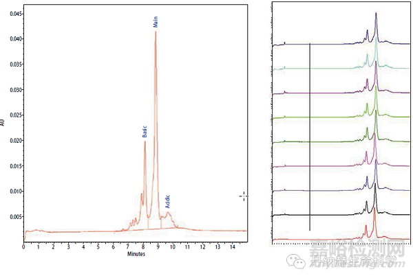 生物药蛋白的异构体分析