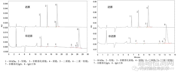 生物药蛋白的异构体分析