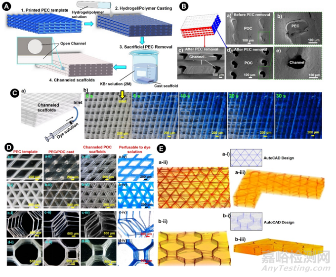 通过3D打印聚电解质复合物制作用于组织再生的多孔道生物支架