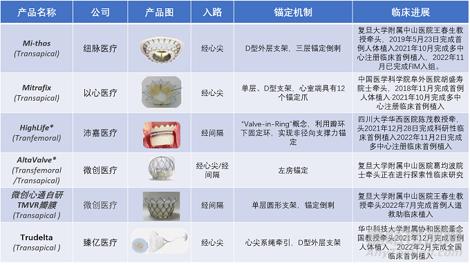 2022年结构性心脏病医疗器械年度盘点