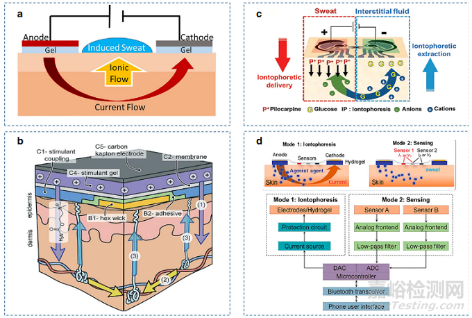 基于汗液的可穿戴传感器最新研究进展