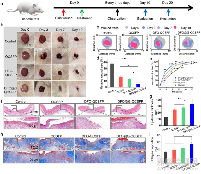 具有促进血管生成的糖尿病伤口微环境自适应性水凝胶促进伤口愈合的研究