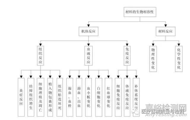 生物相容性评价项目__生物相容性评估报告