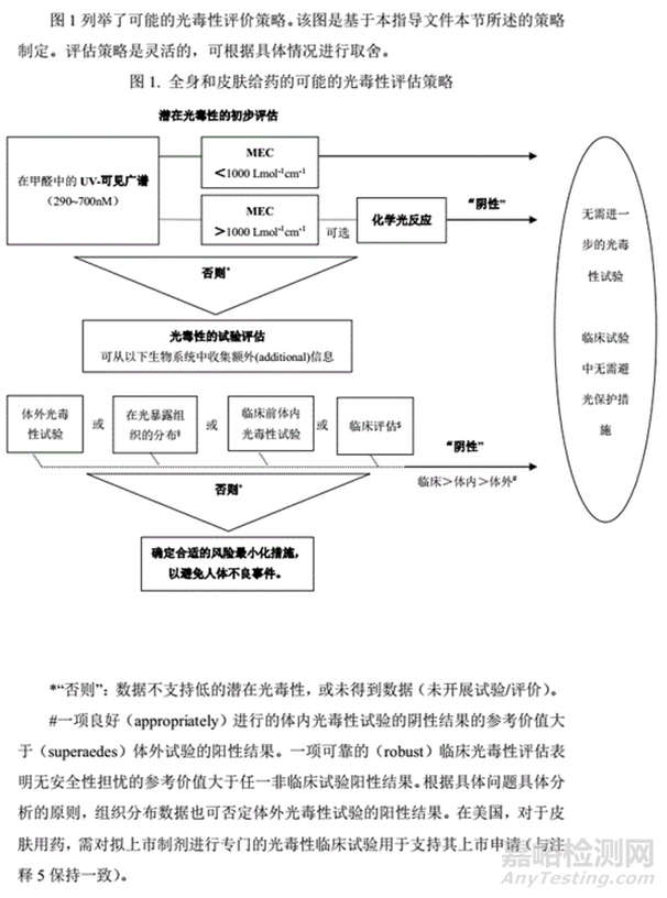 药物的光安全性评价指导原则、方法与常见问题