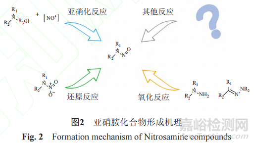 药品中亚硝胺类杂质的来源、检测方法、控制策略和清除方法
