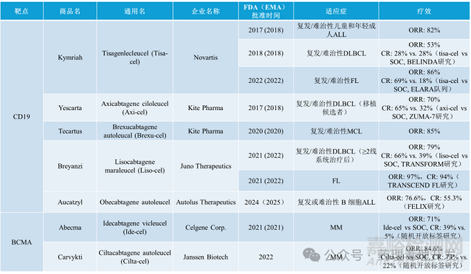 CAR-T细胞治疗药物的生产制备和表征