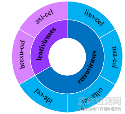 CAR-T细胞治疗药物的生产制备和表征