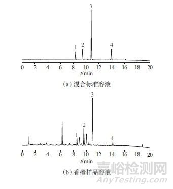 超高效液相色谱法同时测定香橼中4种成分