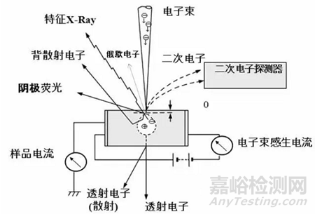 扫描电子显微镜在涂料中的应用及相关标准简介