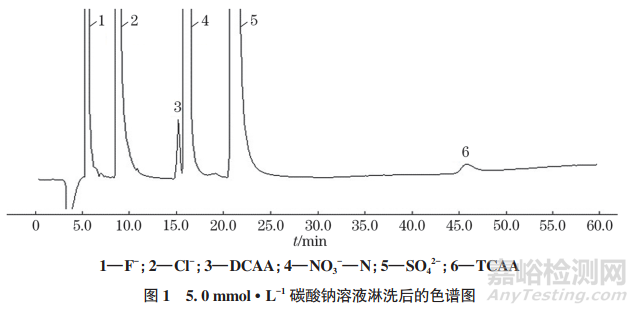 离子色谱法同时测定生活饮用水中二氯乙酸、三氯乙酸和4种常规阴离子的含量
