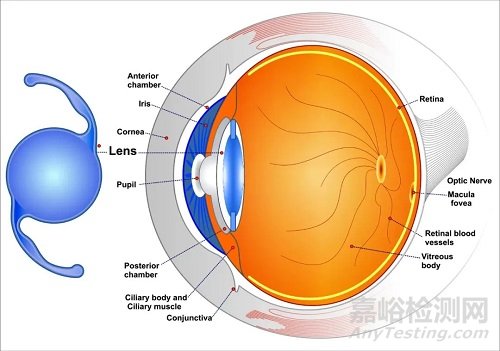 全球人工晶体技术产品与市场分析