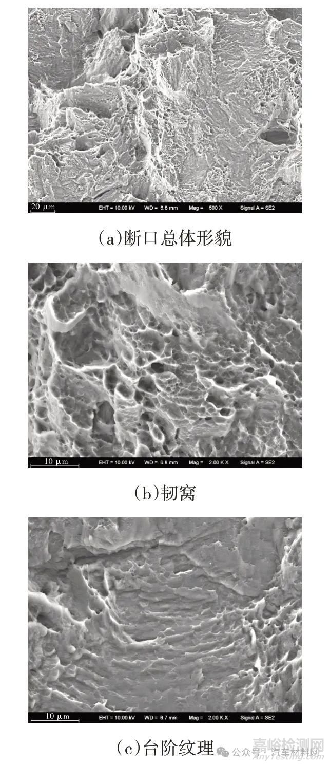 AZ31B镁合金CMT Cycle Step焊接接头组织和性能研究