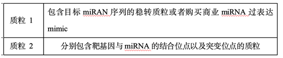 双荧光素酶基因报告系统的实验步骤与注意事项