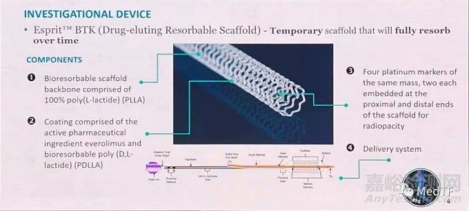 Esprit BTK：雅培可吸收支架获CE批准上市