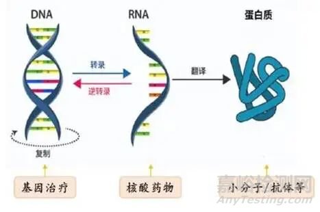 化学修饰技术在小核酸药物中的发展与应用概述