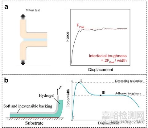 如何表征水凝胶的粘附性能