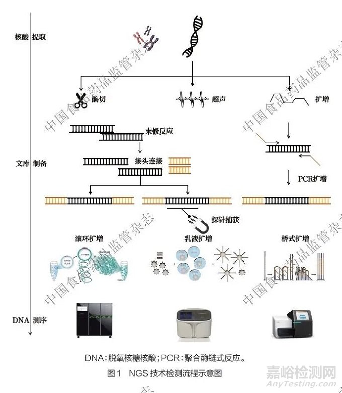 《二代基因测序相关体外诊断试剂分类界定指导原则》探讨