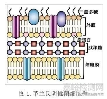 无菌医疗器械细菌内毒素检查技术