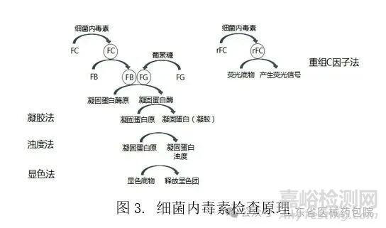 无菌医疗器械细菌内毒素检查技术