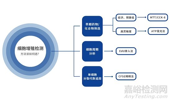 细胞增殖测定方法汇总