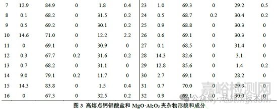 钢中大尺寸夹杂物来源与控制