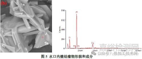 钢中大尺寸夹杂物来源与控制