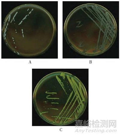 3家制药企业臭氧消毒后洁净车间微生物群落分析