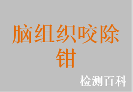 脑组织咬除钳，肿瘤摘除钳，主动脉游离钳，腔静脉游离钳，动脉侧壁钳