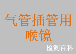 麻醉喉镜，麻醉咽喉镜，视频麻醉喉镜，气管插管用喉镜，一次性使用麻醉喉镜，一次性使用麻醉咽喉镜，一次性使用麻醉窥视片，一次性使用可