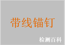 带线锚钉，界面螺钉（干预螺钉），门型钉，半月板缝合钉，带线固定板