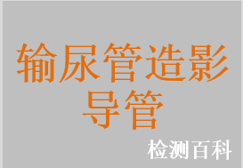 双腔输尿管造影导管，逆行性胰/胆管造影导管，注射管线造影管，十二指肠造影导管