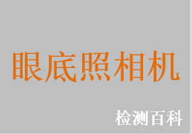 眼底照相机，数字眼底照相机，免散瞳眼底照相机，免散瞳数码眼底照相机，手持式视网膜照相机，无散瞳数码眼底照相机，手持式免散瞳眼底照