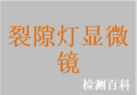 手持式裂隙灯显微镜，裂隙灯显微镜，眼科裂隙灯显微镜检查仪，手持裂隙灯显微镜检查仪，手持式裂隙灯，电动对焦数码裂隙灯显微镜系统