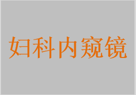 宫腔内窥镜，电子阴道内窥镜，数码电子阴道内窥镜，宫腔镜息肉去除器